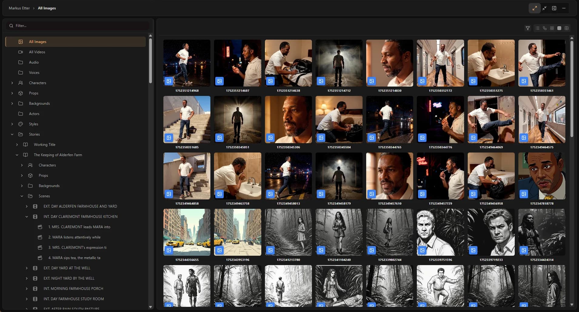 Asset manager in Ciaro Pro