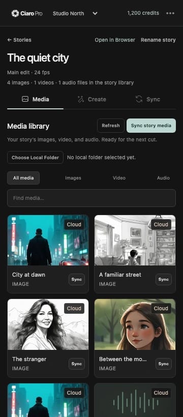 Media · Current plugin interface · example story